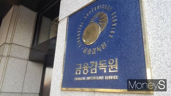 금융감독원이 통상적인 범위를 벗어난 외환거래가 지속돼온 정황이 파악된 신한은행을 상대로 검사에 착수했다. 금융감독원/사진=머니S