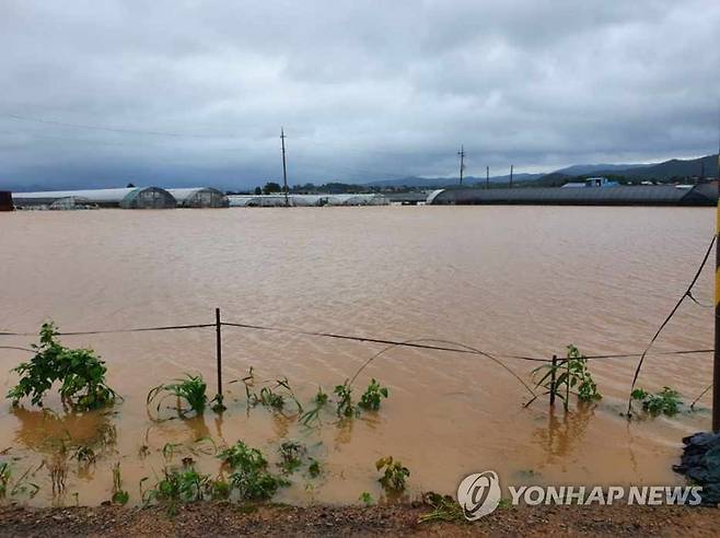 폭우로 침수된 충남 서산 농경지 (서산=연합뉴스) 29일 밤과 30일 새벽 사이 쏟아진 폭우로 침수된 충남 서산 해미면 지역 농경지. 서산지역은 28일부터 누적 284.0㎜의 폭우가 쏟아졌다. 2022.6.30 [서산시 제공. 재판매 및 DB 금지] jchu2000@yna.co.kr