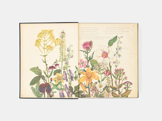 목사인 남편과 순천에 살았던 플로렌스 크랜의 책 『조선의 꽃들과 민담』(1931). [사진 은행나무]