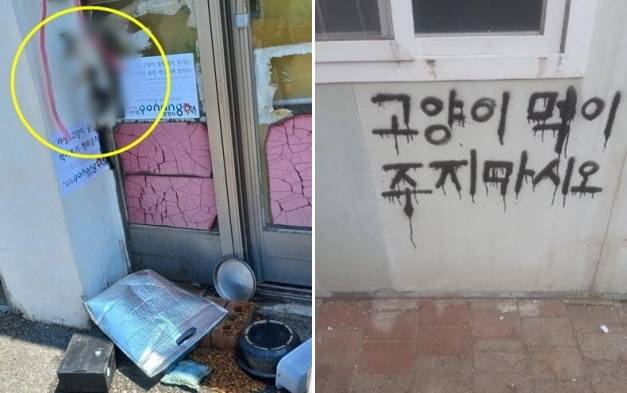 지난 21일 경부 포항 북구의 한 초등학교 인근에 매달려 있는 고양이 사체(왼쪽)과 2019년 한동대 앞에 적혀 있던 경고 문구. 카라 제공  동물보호단체 ‘동물권행동 카라’ 제공