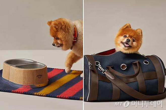 /사진=에르메스(Hermes)