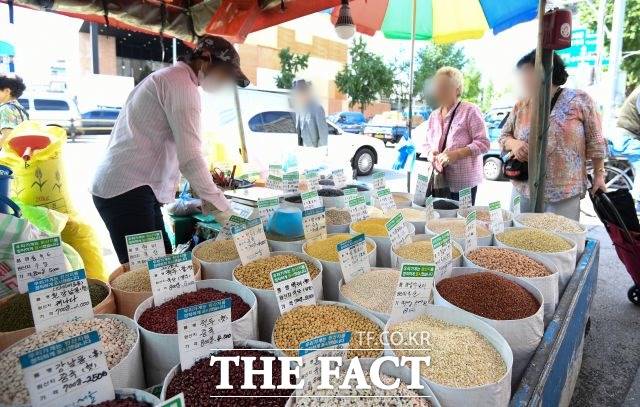 3일 한국농촌경제연구원 농업관측센터의 '국제곡물 7월호' 보고서에 따르면 3분기 곡물 수입 단가지수는 식용 184.8, 사료용 178.4로 전망된다. /더팩트 DB