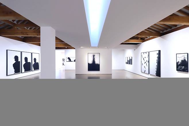 An installation view of “Shades of Furs” at Hakgojae Gallery in Seoul (Hakgojae Gallery)