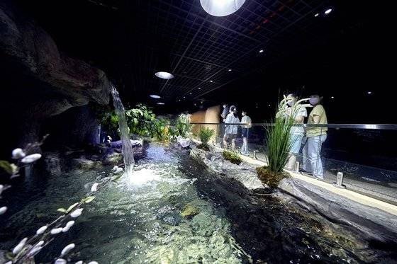 남한강에 서식하는 민물고기들만 따로 모아놓은 수조를 살펴보는 소중 학생기자단.