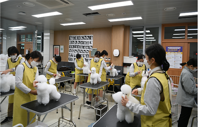 경북 한국펫고등학교 반려동물과 학생들이 실습을 하고 있다. 교육부 제공