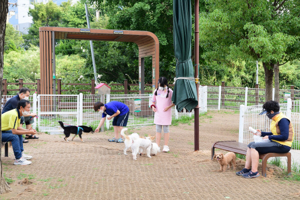 7월 5일부터 동물병원에서 수술 등과 같은 중대진료가 이뤄질 때는 사전 설명과 함께 서면동의를 받는 것이 의무화된다. 사진은 부산 동래구 온천천 반려동물놀이공원. 국제신문DB