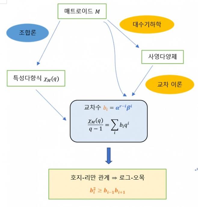 허 교수의 업적을 설명하는 도식입니다. 허 교수는 매트로이드로부터 사영다양체를 만들었고, 매트로이드의 특성다항식의 계수가 사영다양체의 교차수와 같음을 증명했습니다. 이것이 허 교수의 혁명적인 아이디어입니다. 그러면 그 교차수의 호지-리만 관계가 로그-오목임이 밝혀집니다. 허 교수는 여기서 한 걸음 더 나아가 사영다양체를 거치지 않고도 로그-오목이 됨을 증명했습니다. 수학동아DB