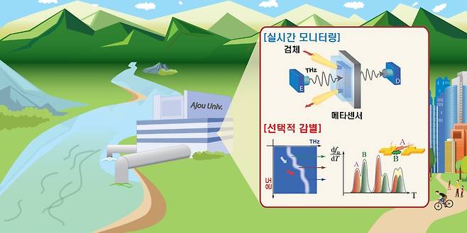 테라헤르츠파를 활용한 병원균 감별 원리 [아주대학교 제공. 재판매 및 DB 금지]