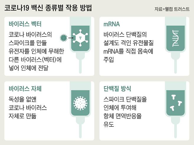 바이러스 벡터, mRNA, 바이러스 자체, 단백질 방식의 코로나 백신. 얀센 백신은 영국 아스트라제네카 백신과 같이 코로나 바이러스의 스파이크를 만들 유전자를 인체에 무해한 다른 바이러스(벡터)에 넣어 인체에 전달한다. 모더나와 화이자 백신은 바이러스 단백질의 설계도 격인 유전물질 mRNA를 직접 몸속에 넣는다. 중국 백신은 독성을 없앤 코로나 바이러스 자체로 만들었으며, 노바백스 백신은 스파이크 단백질을 인체에 투여해 항체 면역반응을 유도한다./웰컴 트러스트