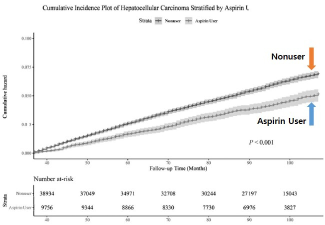 (그림설명) 아스피린 복용군과 아스피린 미복용군 간의 간암 누적 발생 비교.