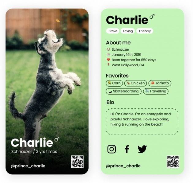 모모프로젝트가 최근 프리 베타 서비스를 시작한 강아지 명함의 모습. 이 정보를 기반으로 견주들은 같은 지역에서 같은 관심사를 가지고 있거나 유사한 견종들 간의 모임을 추진할 수 있다. /모모프로젝트 제공