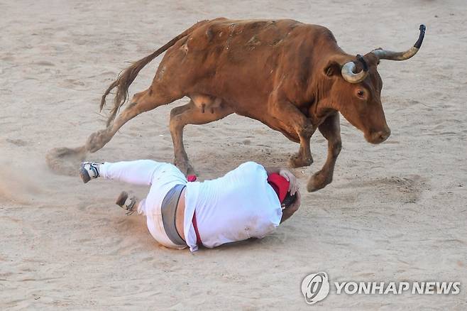 스페인의 산페르민 소몰이 축제 [AFP 연합뉴스 자료사진. 재판매 및 DB 금지]