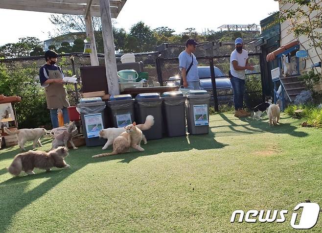 인천 영흥도 고양이역 카페 전경 © 뉴스1 최서윤 기자