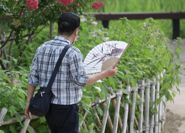 폭염이 이어진 지난 8일 오전 울산 중구 태화강 국가정원을 찾은 한 시민이 부채질을 하며 산책하고 있다. 울산=뉴스1