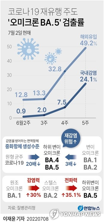 [그래픽] 코로나19 재유행 주도 '오미크론 BA.5' 검출률 (서울=연합뉴스) 이재윤 기자 = 최근 세계 각국은 물론 국내에서도 코로나19 재유행 조짐이 나타나는 가장 큰 이유 중 하나는 오미크론 하위변이인 BA.4와 BA.5의 급격한 확산이 꼽힌다.
    현 지배종인 BA.2보다 전염력이 훨씬 강할 뿐 아니라, 높은 면역 회피성까지 지녀 이미 감염이나 백신 접종으로 면역을 획득한 사람들도 재감염될 위험을 키우는 것이다. 
    yoon2@yna.co.kr
    트위터 @yonhap_graphics  페이스북 tuney.kr/LeYN1