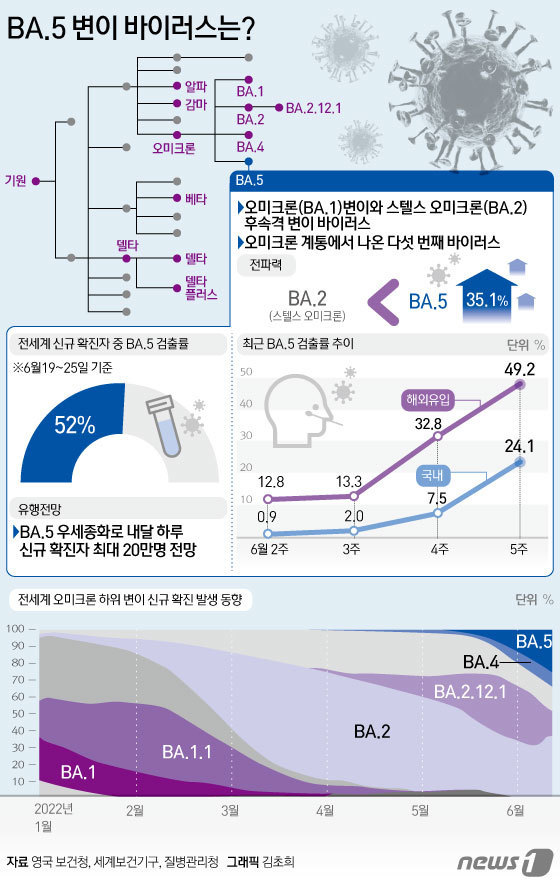 © News1 김초희 디자이너