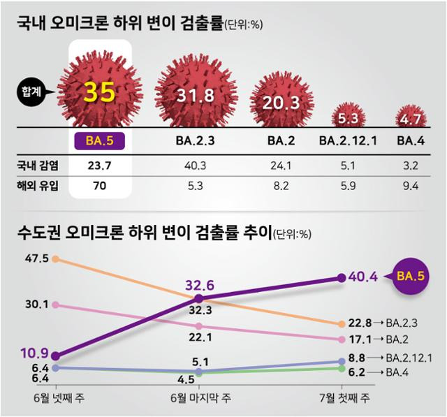 오미크론 하위 변위 검출율. 그래픽=강준구 기자