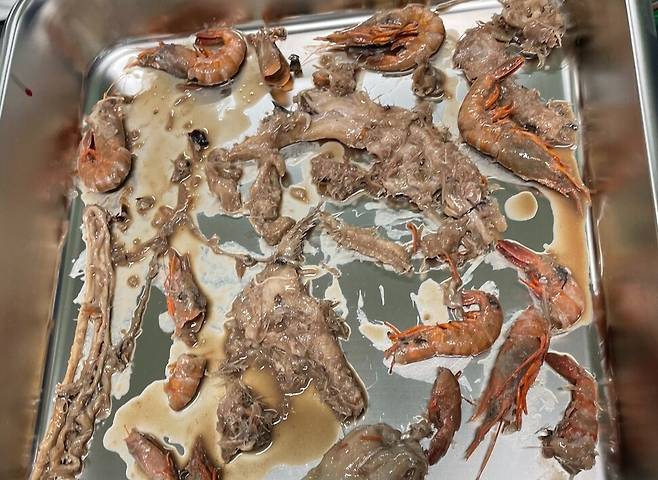 3개의 위를 지닌 상괭이의 첫 번째 위에서는 미처 소화되지 못한 새우, 오징어, 물고기 등의 먹이 생물들이 발견됐다.