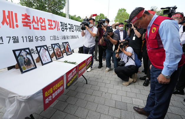 (서울=뉴스1) 김진환 기자 = 축산관련단체협의회가 11일 오전 서울 용산구 전쟁기념관 앞에서 수입축산물 무관세 정부 규탄 기자회견을 열고 축산물에 헌화하는 퍼포먼스를 하고 있다. 2022.7.11/뉴스1