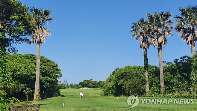 제주도의 한 골프장 [독자 제공]