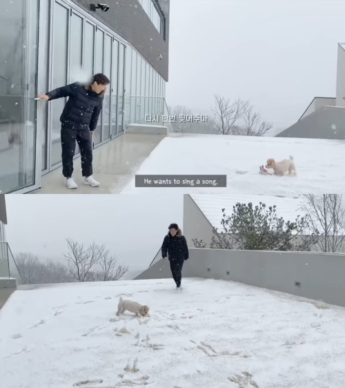 애완견 푸푸와 뛰노는 강기영. 유튜브 ‘엔비푸푸’ 캡처.