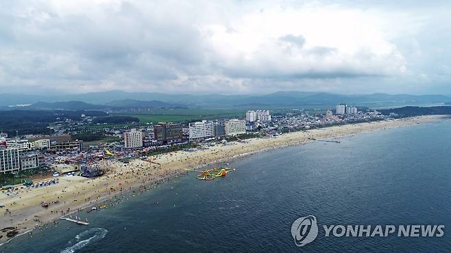 보령 대천해수욕장 전경 [연합뉴스 자료사진]