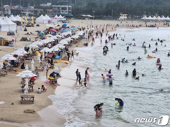 본격 피서철이 시작된 지난 16일 강원 양양군 남애해변에서 피서객들이 물놀이를 즐기고 있다. 2022.7.17 © News1 윤왕근 기자