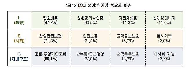 ESG 분야별 가장 중요한 이슈 [대한상의 제공. 재판매 및 DB 금지]