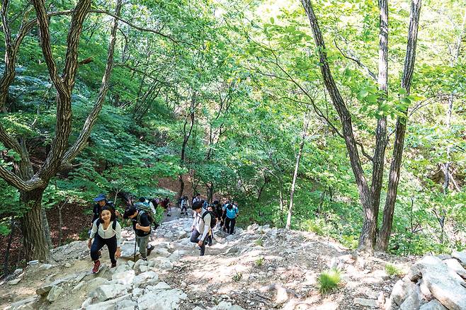 하이킹 에반젤리스트 김섬주씨를 필두로 일렬로 줄지어 산행하는 히어로들