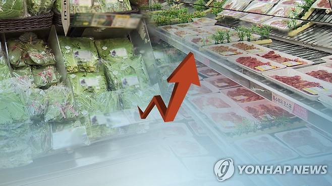 "임금 1% 오르면 물가 0.6% 상승…임금 인상 속도 조절 필요"(CG) [연합뉴스TV 제공]