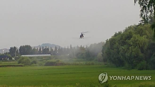 "서울 공원·궁궐 등에 농약 남용…5년간 자치구 평균 1,098㎏" ※ 기사와 직접 관계가 없습니다. [서울시 제공=연합뉴스]