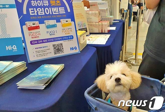 22일 서울 강남구 코엑스에서 열린 케이펫페어 '하이큐펫츠' 부스에서 이벤트가 진행되고 있다. © 뉴스1 최서윤 기자