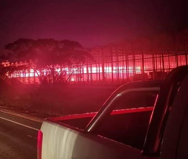 호주 빅토리아주 밀두라의 상공에서 목격된 핑크빛 하늘./트위터