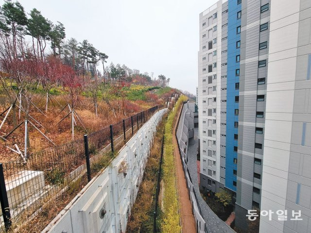 경기 성남시 백현동에 위치한 아파트 단지에 50m가 넘는 옹벽이 설치돼 있다. 감사원은 22일 공개한 감사보고서에서 “비탈면 수직 높이는 15m 이내로 제한되는데 최대 51.3m의 높이로 옹벽을 쌓는 것은 위법한 건축행위“라고 지적했다. 동아일보 DB