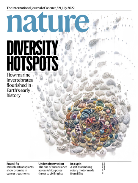 스페인 해양과학연구소와 해양학연구소, 미국 리버사이드 캘리포니아대, 영국 브리스톨대, 호주 시드니대, 독일 알프레드 베게너연구소 연구진은 지구의 해양 생물 다양성이 현재 최고 수준에 도달한 배경엔 다양한 종의 생물이 어울려 사는 ‘생물 다양성 핫스팟’으로 불리는 해역이 오랫동안 안정적으로 유지됐기 때문이라는 분석 결과를 네이처에 소개했다.&nbsp;네이처 제공