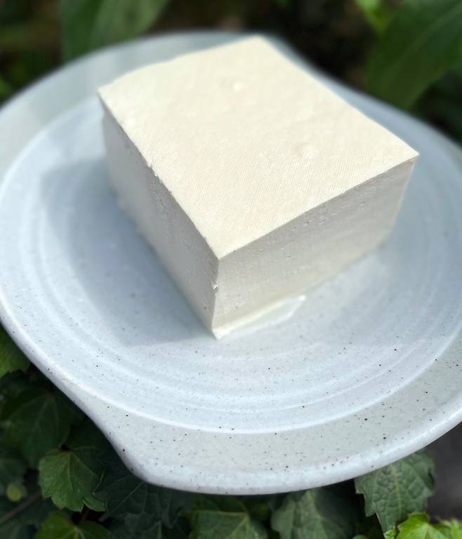 황금콩밭의 생두부. /박정배제공