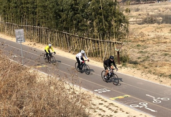 교차로 앞에 설치된 과속방지턱을 피하기 위해 중앙선을 넘어 역주행 하는 자전거들. 울산 굴화주공아파트 아래에 위치한 이곳에서는 지난 2021년 4월 자전거와 보행자 충돌하는 사고가 발생해 보행자가 전치 5주의 큰 부상을 입은 곳이다. 울산시가 사고예방을 위해 자전거 도로에 과속방지턱을 설치했지만 오히려 역주행 부작용이 발생하고 있다. /사진=최수상 기자