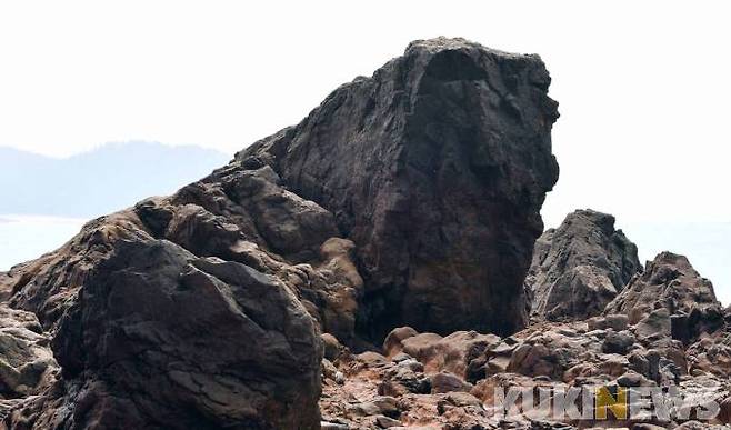 사자 모양의 바위