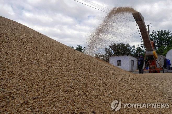 우크라이나 오데사에 쌓인 곡물 [로이터 연합뉴스 자료사진. 재판매 및 DB 금지]