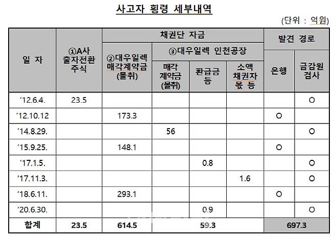 (자료=금감원)