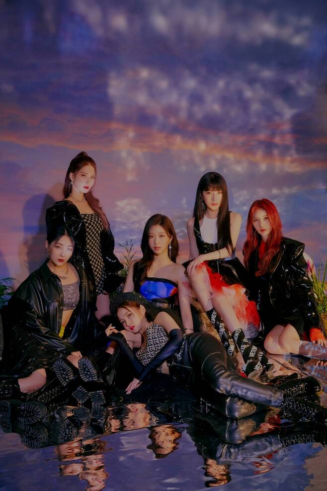 티브이데일리 포토