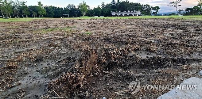 잔디는 죽고 흙은 드러난 채 방치 (강릉=연합뉴스) 유형재 기자 = 공중파 방송사의 유명 음악프로그램을 진행한 뒤 뒷정리를 하지 않아 잔디가 훼손되는 등 엉망이 된 강릉시 경포호수 잔디광장이 일주일이 지난 26일 여전히 몸살을 앓고 있다. 2022.7.26 yoo21@yna.co.kr