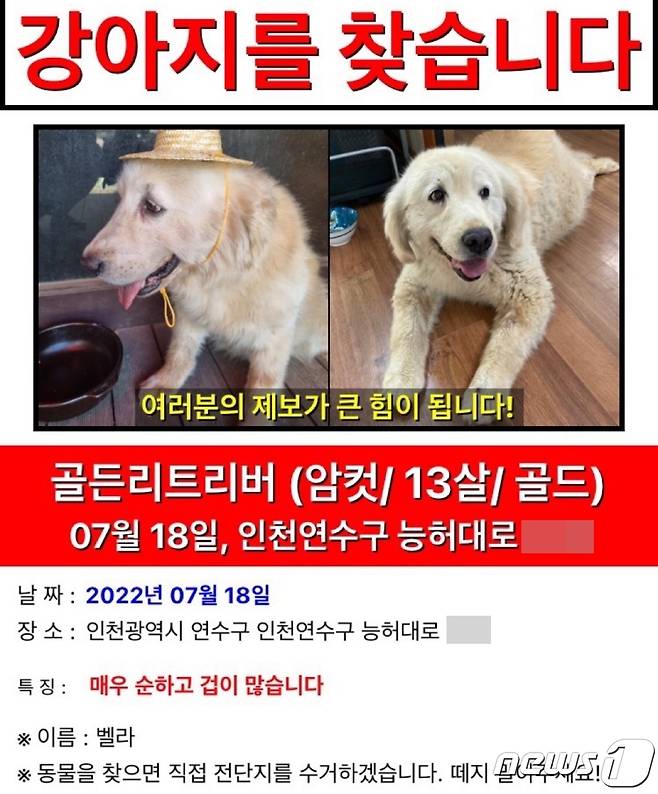 A씨가 벨라를 찾기 위해 만들어 붙였던 전단. © 뉴스1