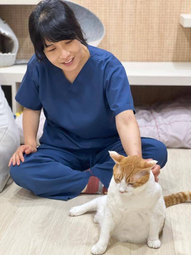 박정윤 수의사가 동물단체로부터 입양한 고양이 '상국이'를 쓰다듬고 있다. 고은경 기자