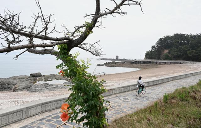 지난 10일 충남 보령 고대도 보령 해안가. 보령=왕태석 선임기자