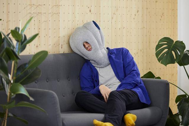 영국의 오스트리치 필로우. 오스트리치 필로우 제공