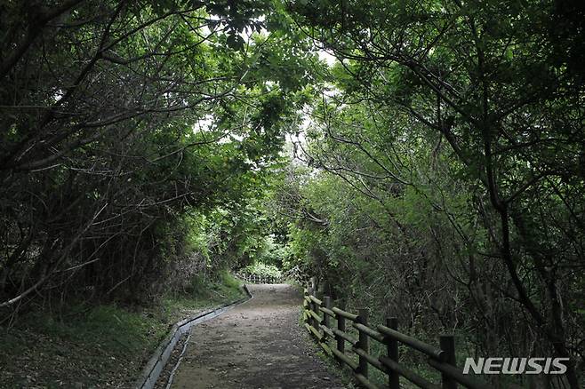 [서울=뉴시스] (영광) 상낙월도 재계미해변 위쪽 둘레길-박상준 촬영. (사진=한국관광공사 제공) 2022.07.29. photo@newsis.com *재판매 및 DB 금지