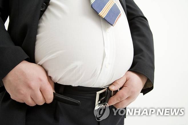 복부비만 [서울대병원 제공]