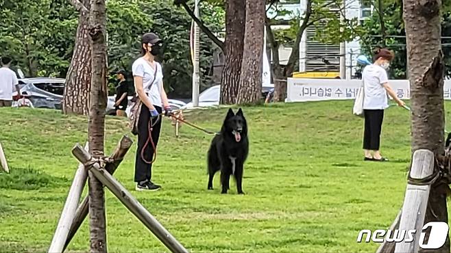 지난달 30일 대구 수성구 만촌동 화랑공원에서 한 주민이 반려견과 산책하고 있다.2022.7.30/뉴스1 ⓒ News1 이성덕 기자