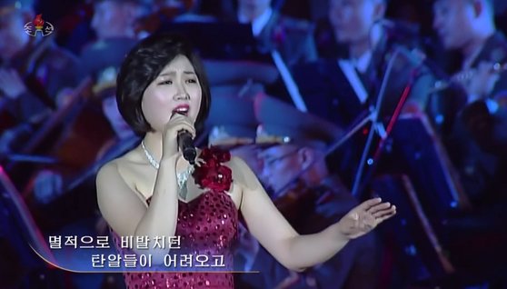 북한 전승절 기념행사에서 노래하는 신인 가수 문서향